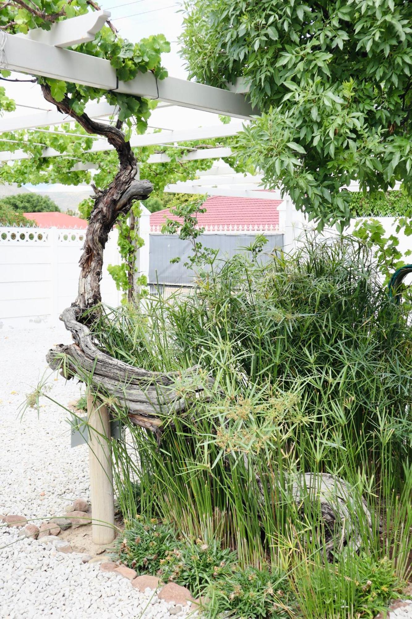 River Bend Guesthouses Graaff-Reinet 外观 照片